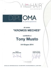 Attestato WeHair Academy: Kromos Meches