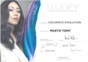Attestato Demeral: Coloriste Evolution, Fluidify